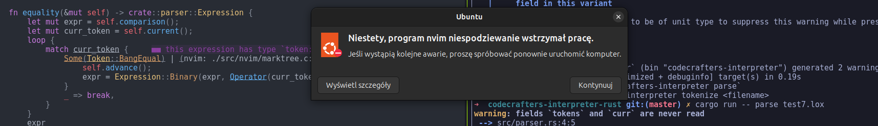 Neovim crashing /en/posts/2024-10-06_about_rust/vim-error.png