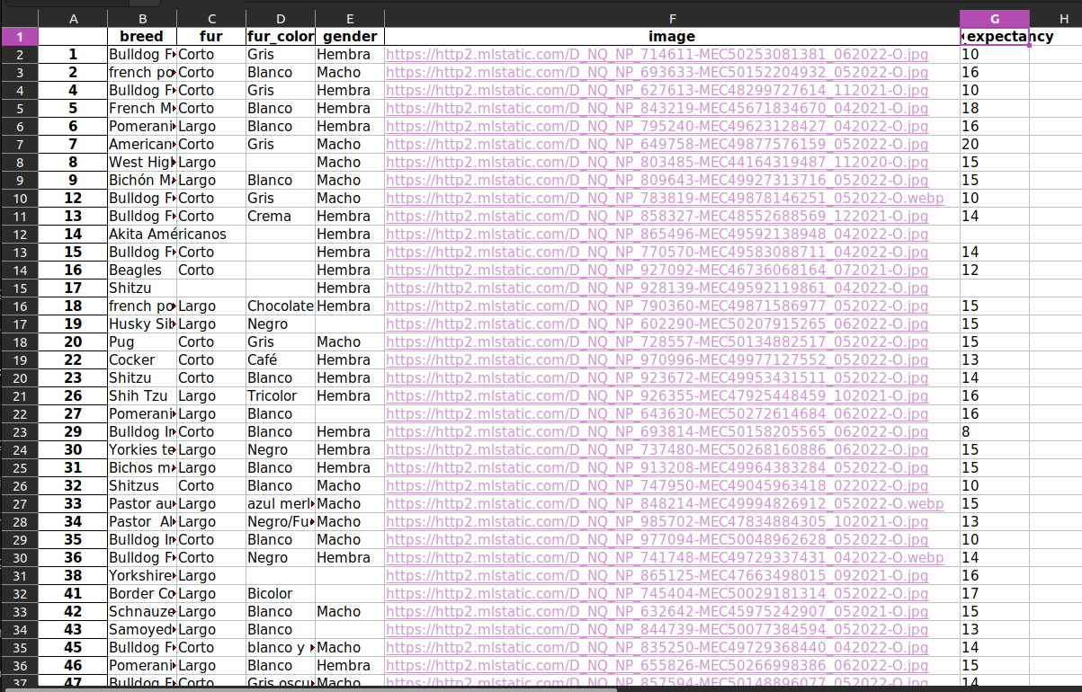 File opened in LibreOffice /posts/extracing-excell/lo_dogs.png